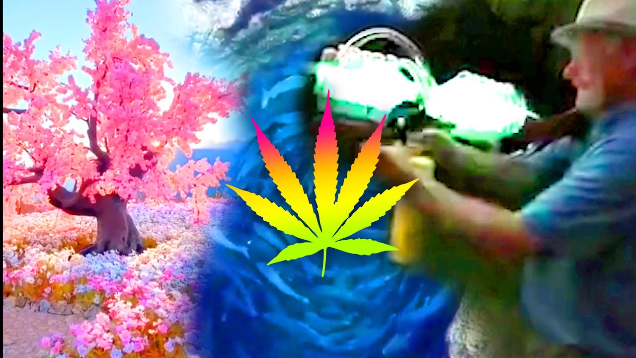 WATCH WHILE HIGH! TRIPPY VIDEO COMPILATION #21 ★ StonerVids