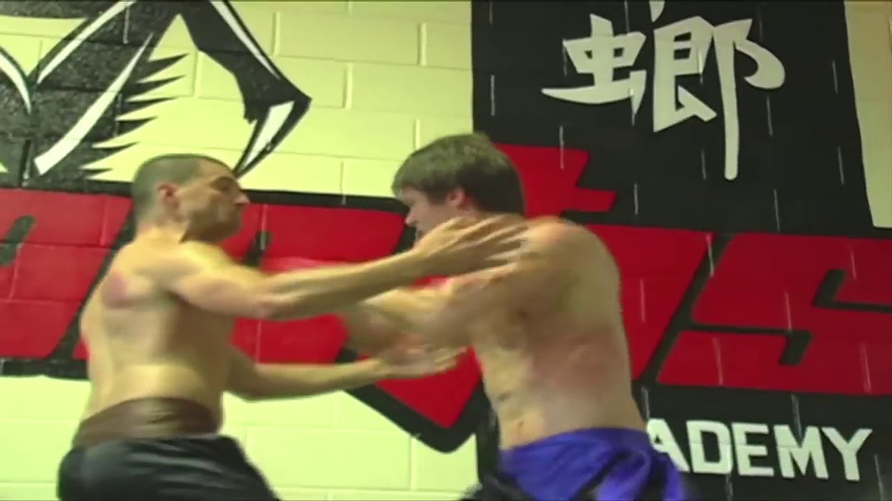 Mantis Kung Fu - Learn Kung Fu Online  - Black Mantis Kung Fu  - Shock Power Ging