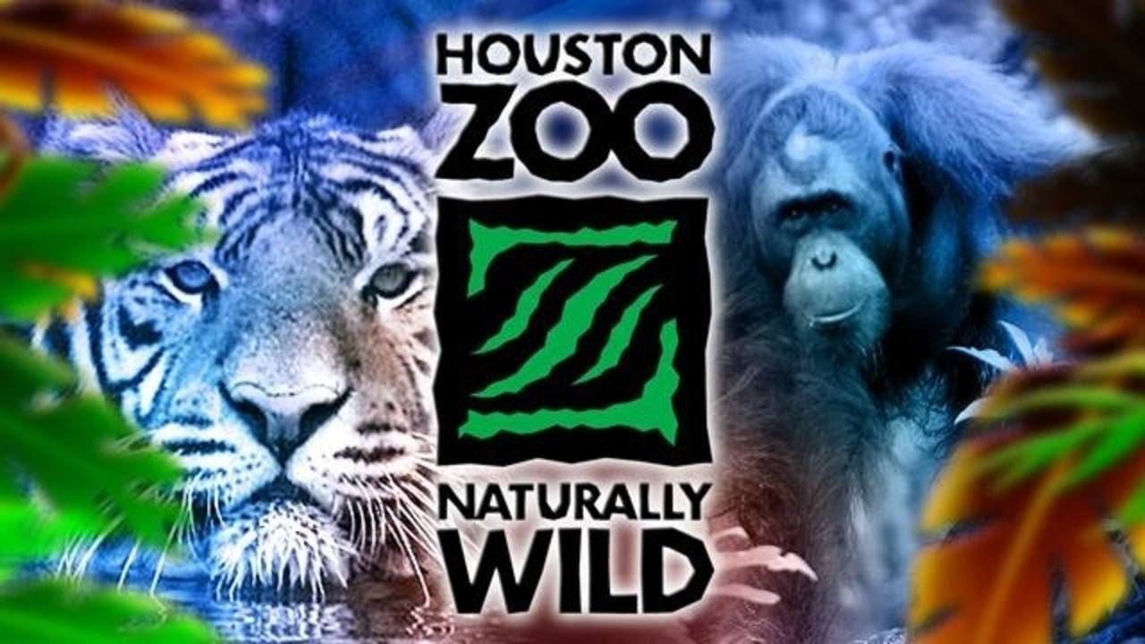 Houston Zoo Full Tour - Houston, Texas - Part Two