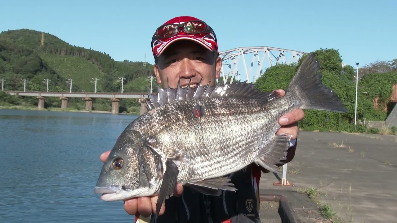 【ワイワイ釣り三昧】日向市美々津　チヌ釣り