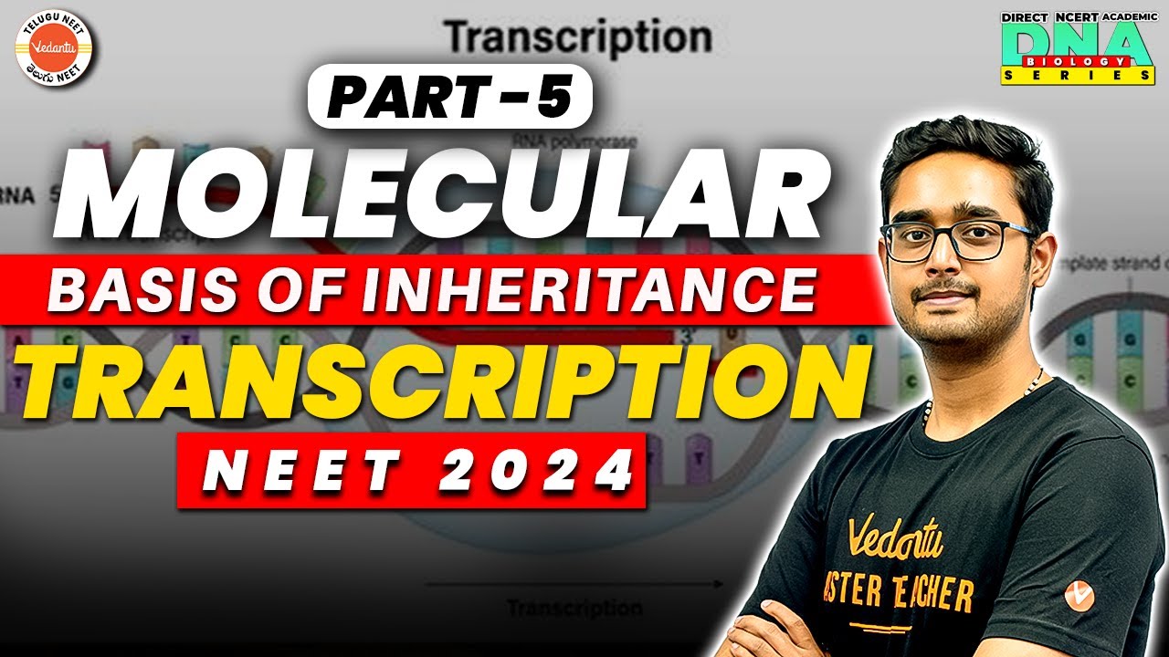 Molecular Basis of Inheritance Class 12 Chapter 6 | Part 5 | Transcription | NEET 2024/2025
