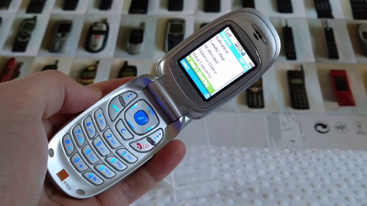 Samsung SGH E300 & Ringtones (2004)