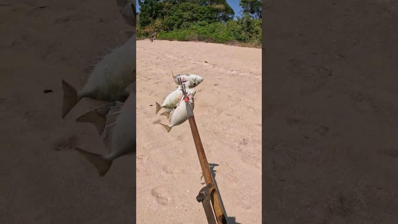 Ловля рыбы на самодельное копье 🔱🐟