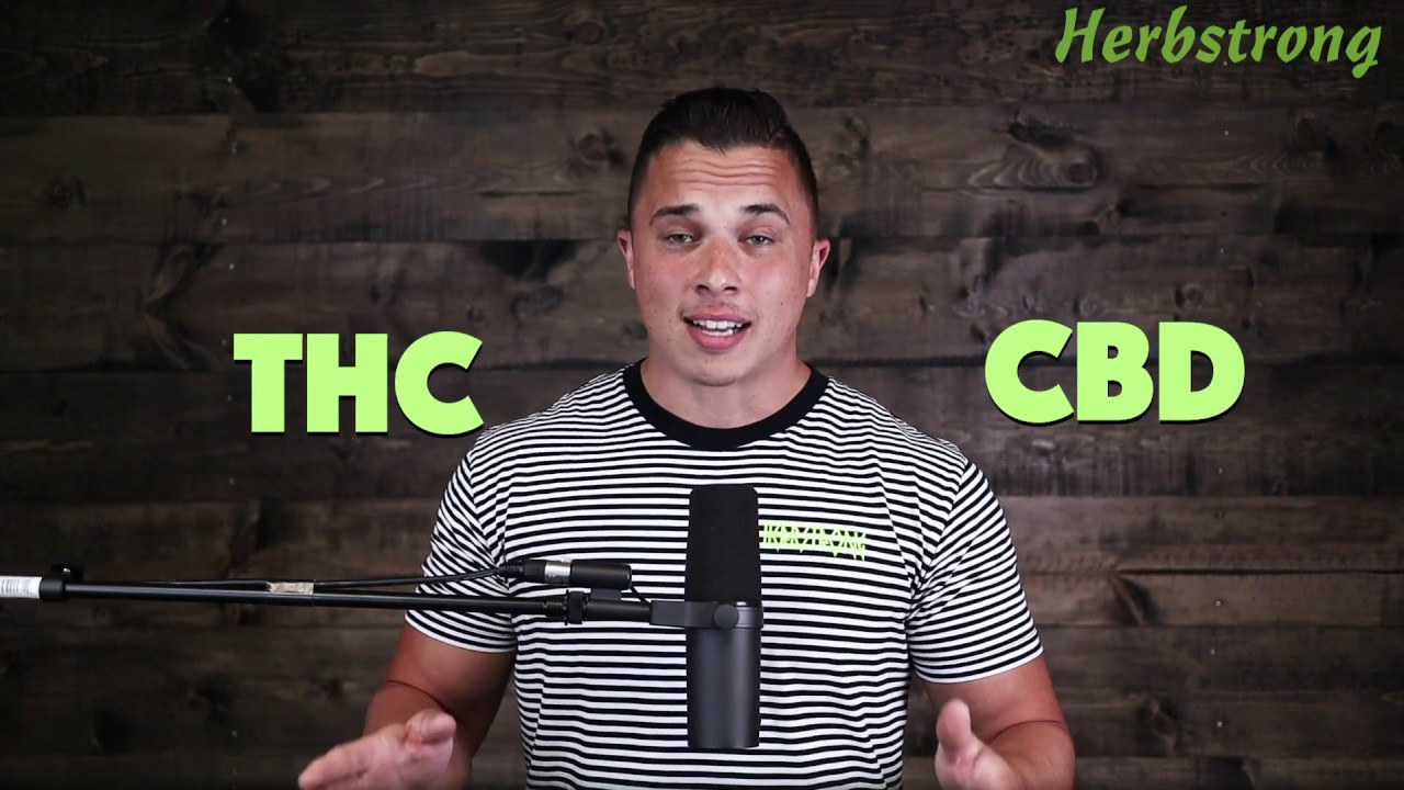 WHAT THE F**K IS CBD - A Scientific Explanation
