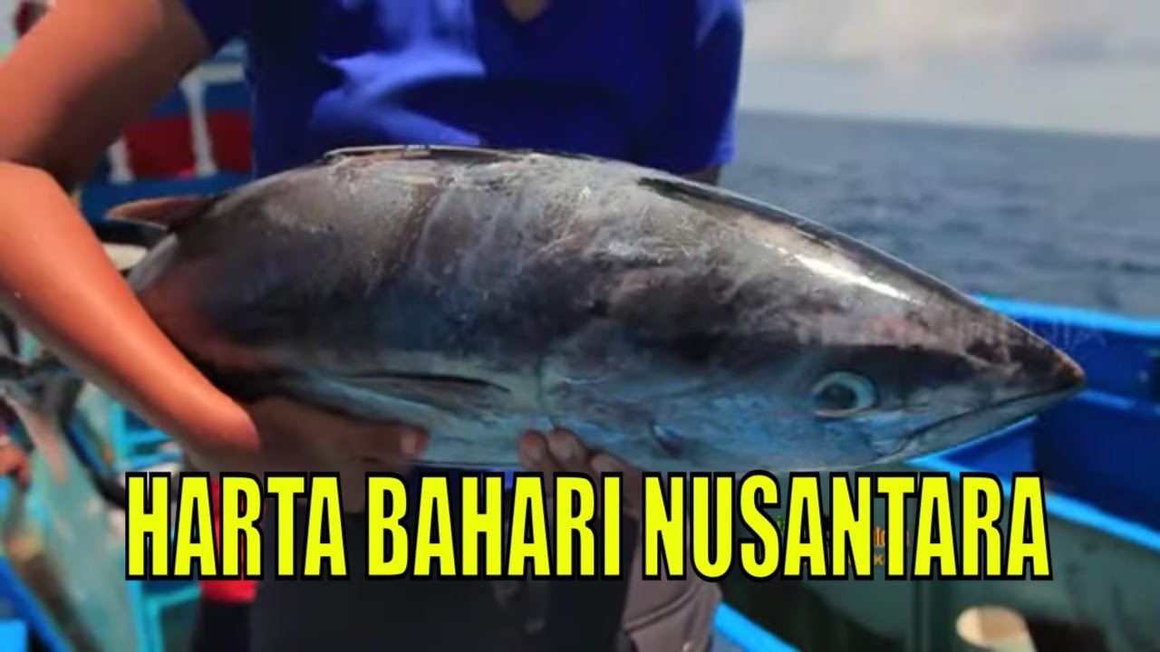[FULL] HARTA BAHARI NUSANTARA | JEJAK PETUALANG (04/12/22)