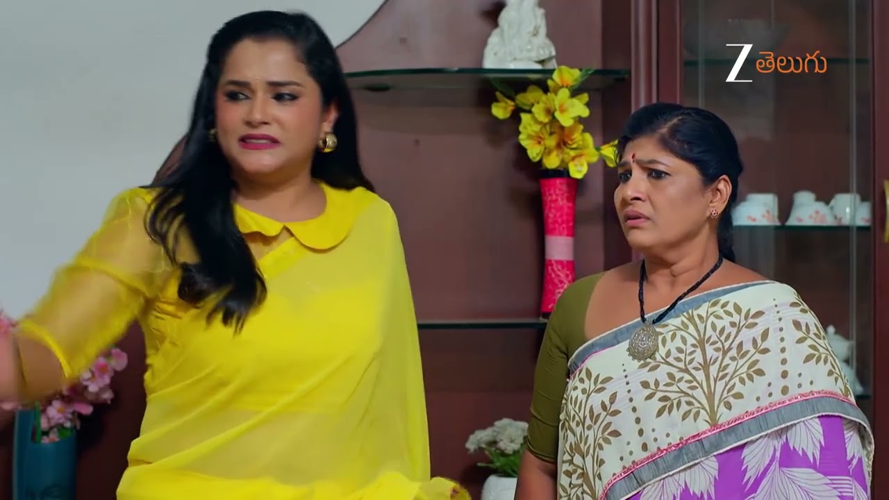 Nindu Noorella Saavasam | Ep - 734 | Webisode | Nov 18 2025 | Zee Telugu