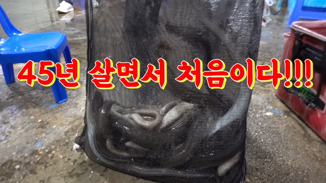 이게 장어다!! 낚시바늘 한번에 300개 넣어보자 !/Let's put 300 fishing needles in the sea!!
