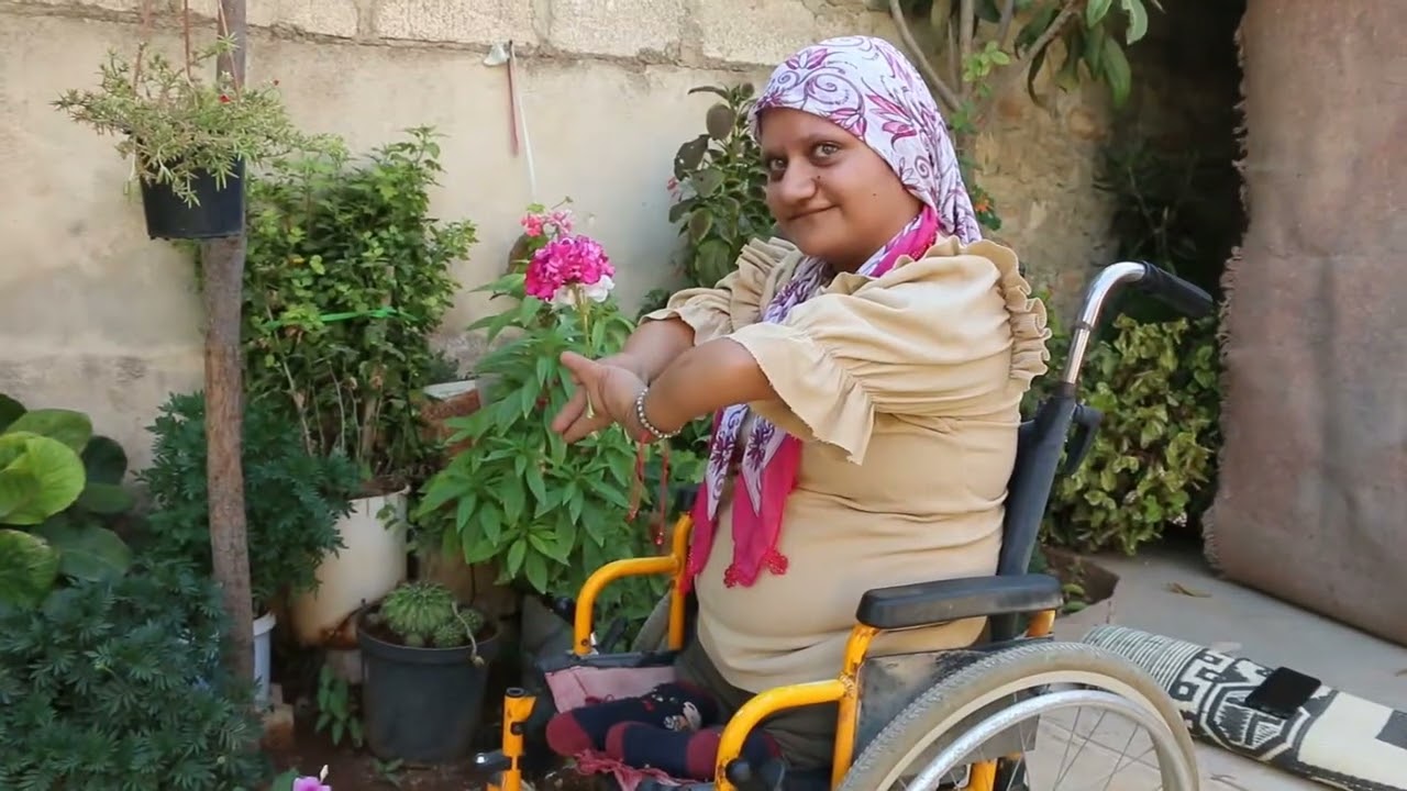 حملة 