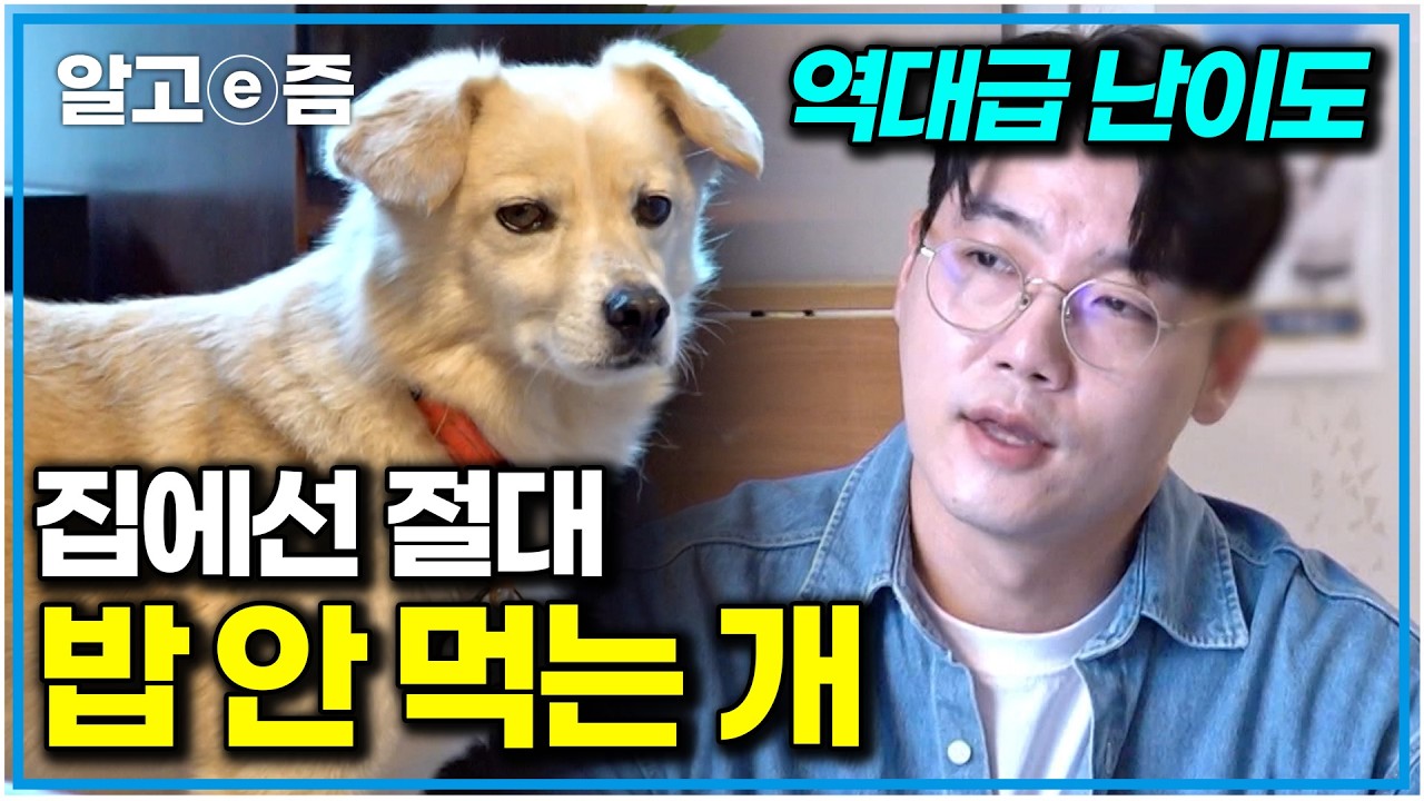 “공격성 있는 개보다 어려운데..” 밖에 떨어진 것만 겨우 주워 먹는 강아지에 당황한 설쌤. 집밥 거부 외식견의 안타까운 과거｜세상에 나쁜 개는 없다｜알고e즘