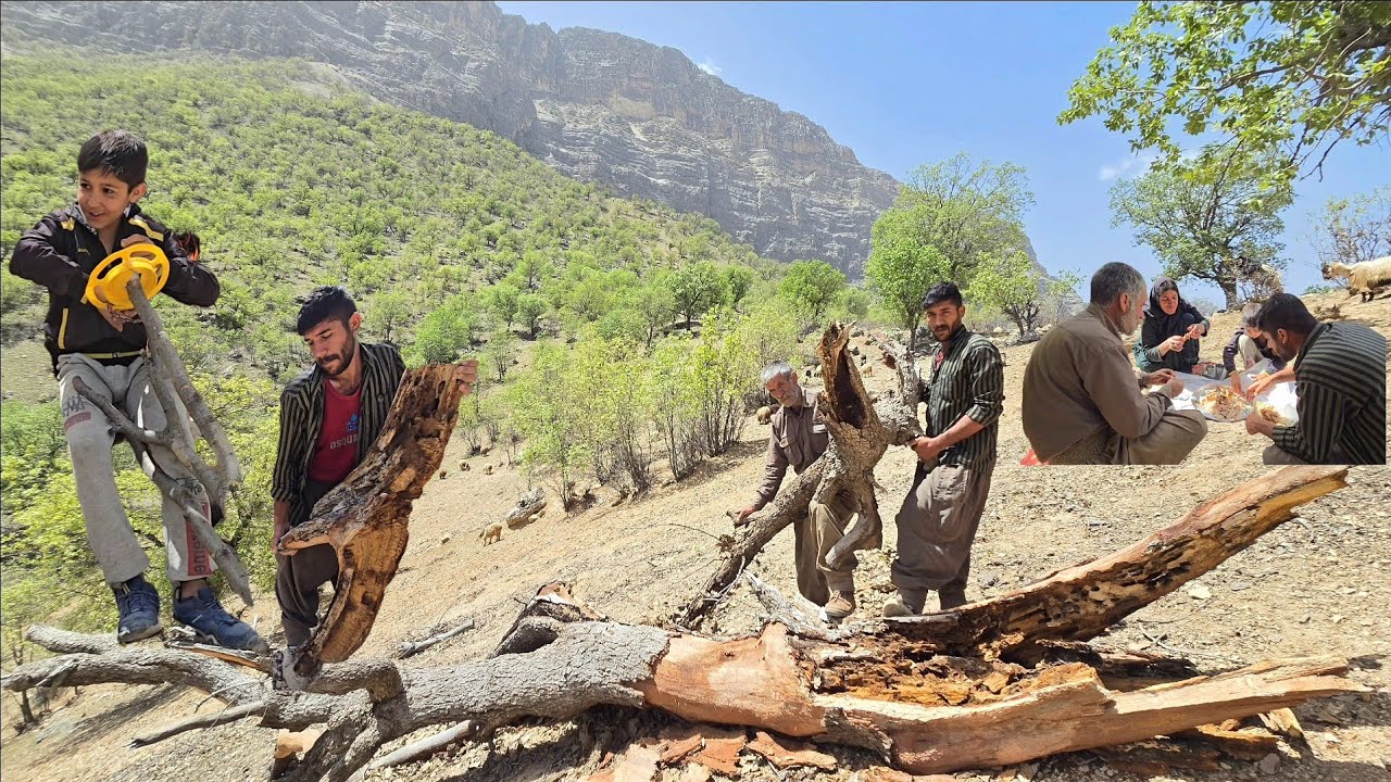 Nomadic life: Chopping firewood for storage for nomadic migration in the pristine nature of Iran