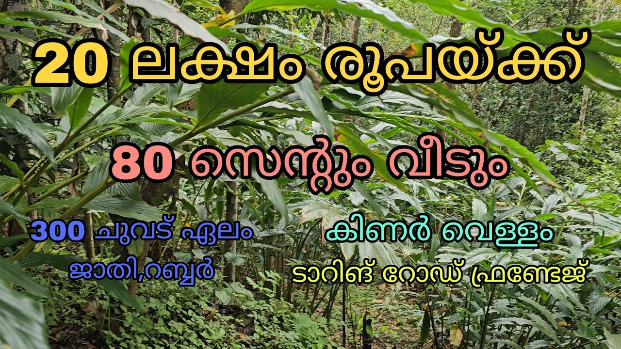 ചെറിയ വിലയിൽ 80 സെൻ്റ് സ്ഥലവും വീടും വില്പനയ്ക്ക് ( മൊത്ത വില 20 ലക്ഷം )