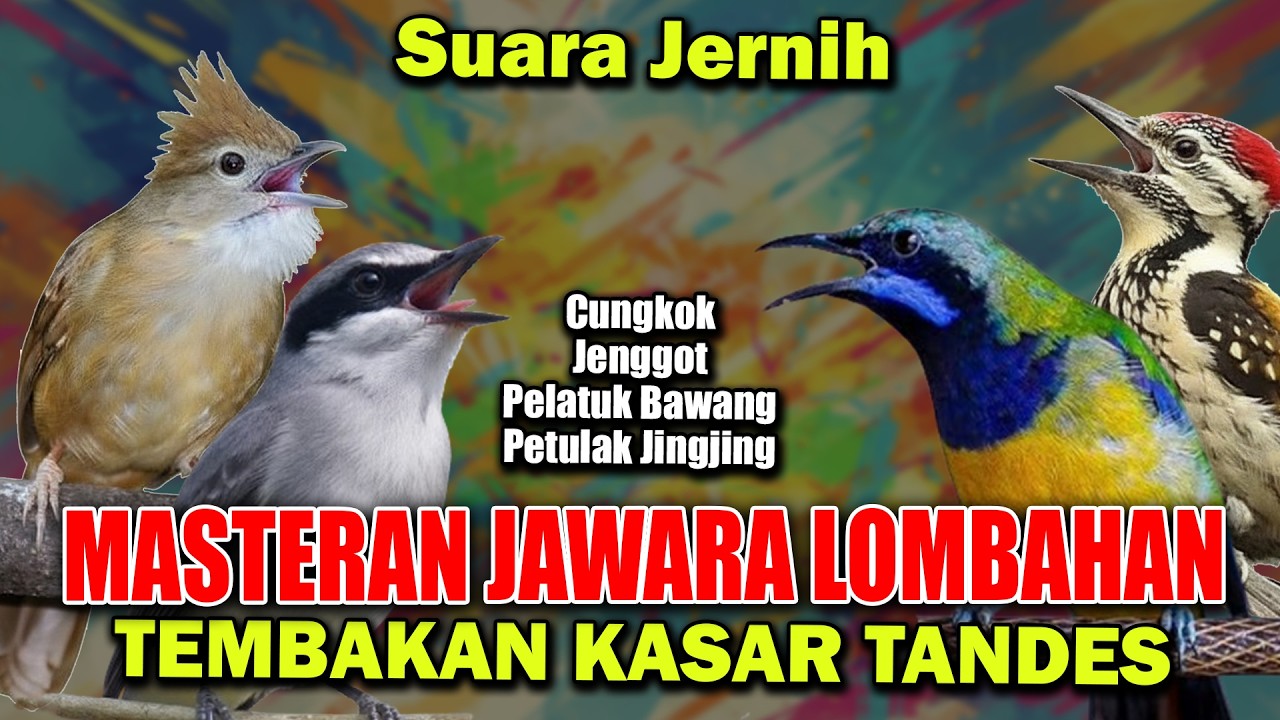 MASTERAN JAWARA LOMBAHAN JINGJING PETULAK PELATUK BAWANG CUCAK JENGGOT CUNGKOK