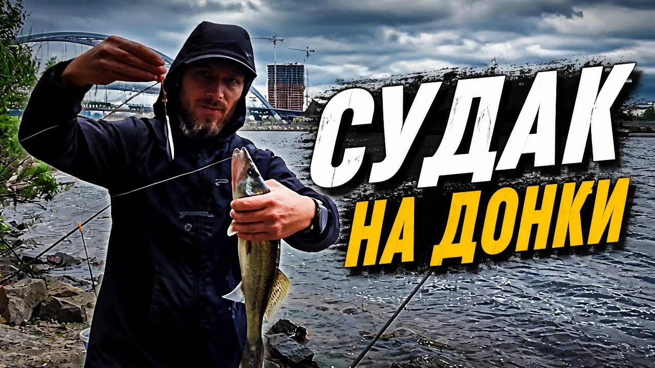 Ловля судака на донки с берега/Насадка бычок и хвосты/Видеоотчет Июнь 2023