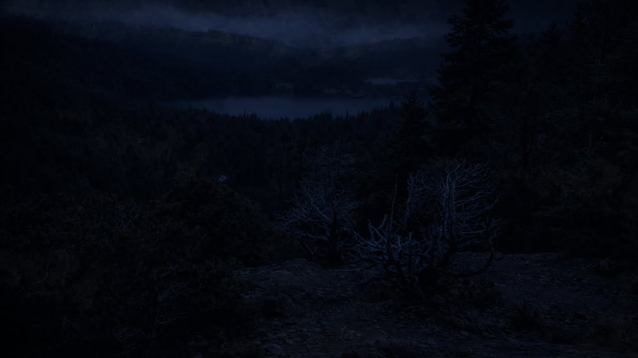 Dark Forest Night Ambience 🌙 | Deep Sleep Sounds