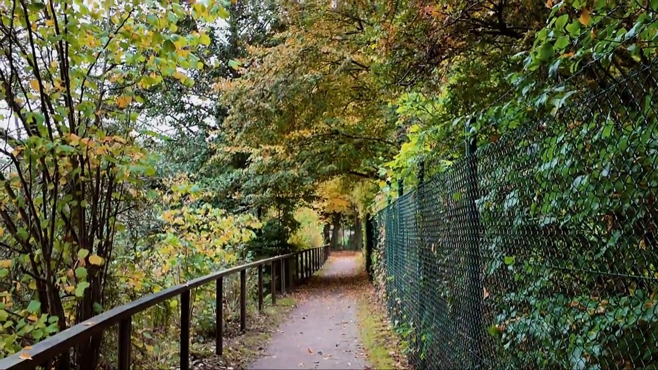 Herbst an der Wupper-Vorsperre