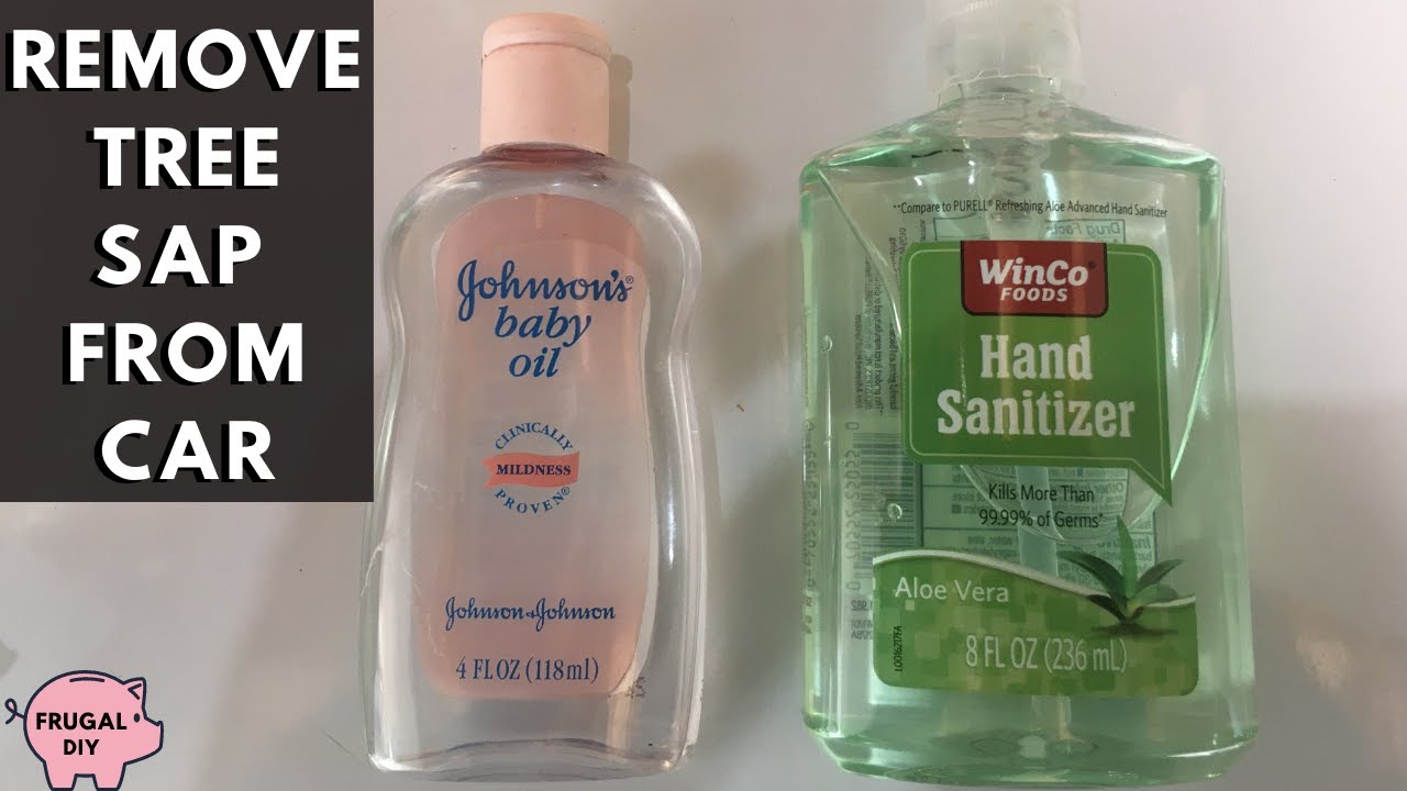 Remove Tree Sap from Car Paint | Hand Sanitizer & Baby Oil