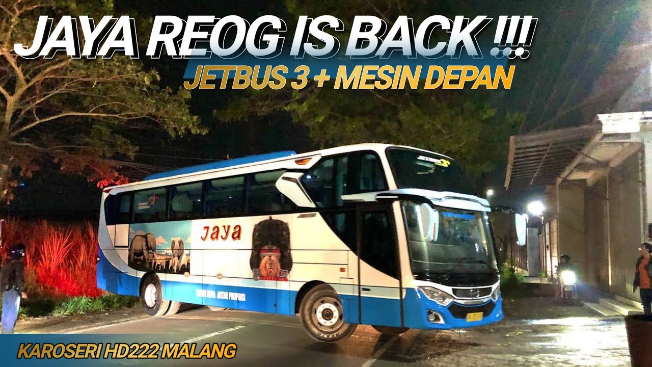 RILIS BUS JAYA PUTIH REOG PONOROGO ‼️