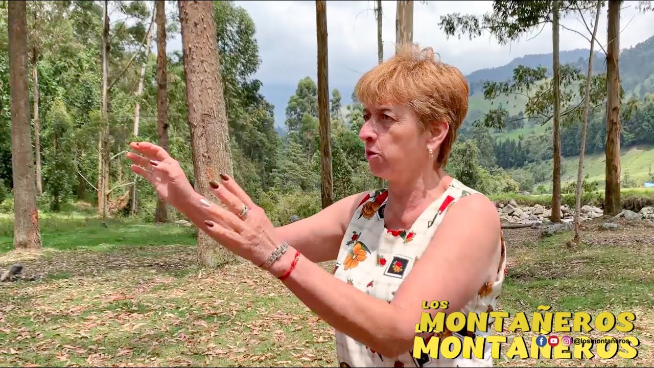 ACAMPANDO -  LOS MONTAÑEROS