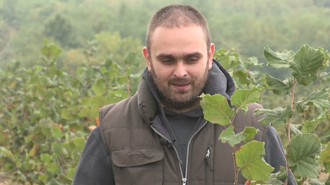 Imamo rešenje ep. 26 30.09.2019. Gajenje lešnika, Miloševo