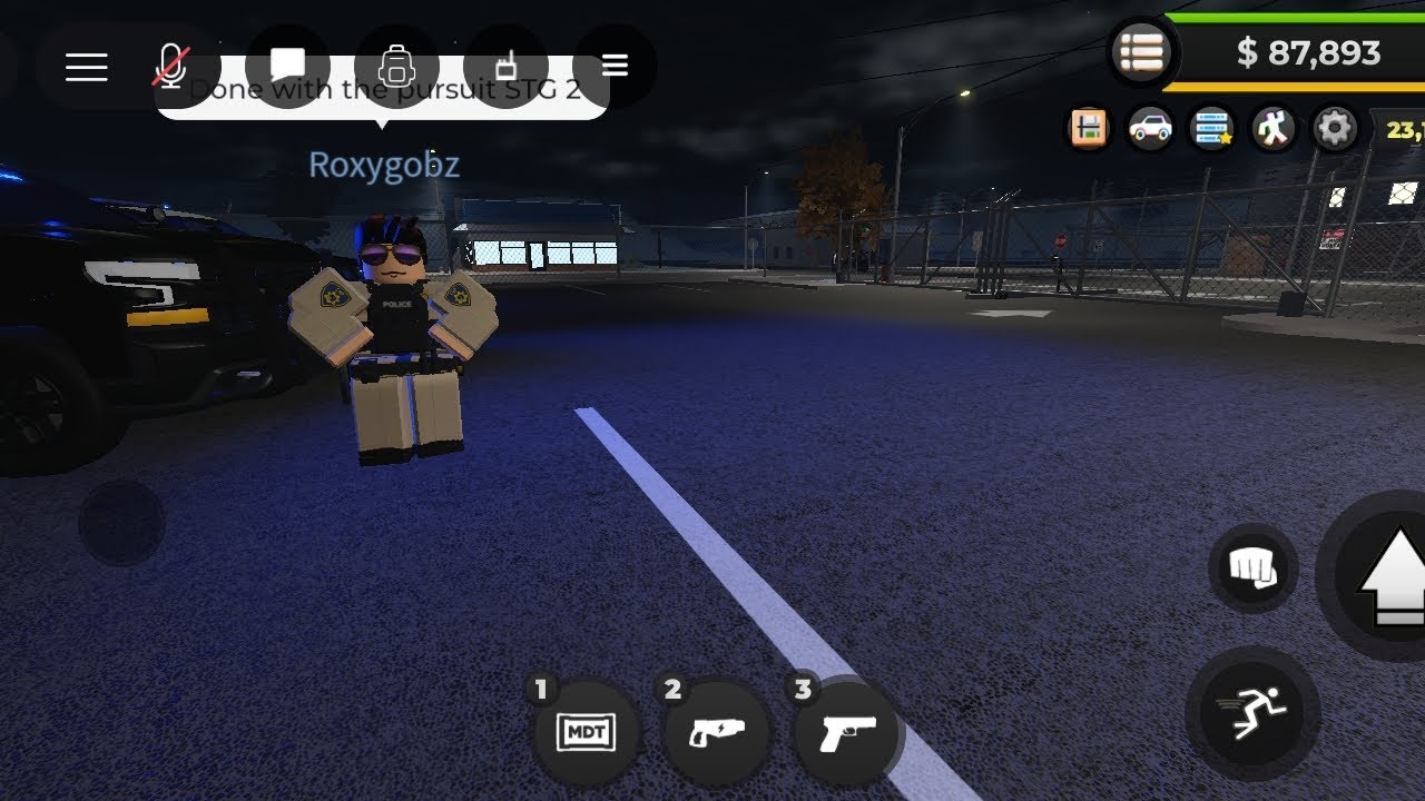 Traffic stop to full police highway patrol 