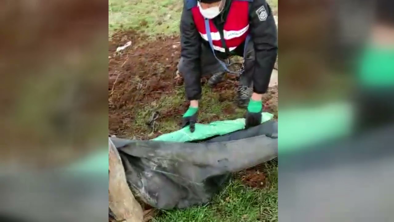 Şanlıurfa'da samanlıkta ve toprak altından silah cephaneliği çıktı