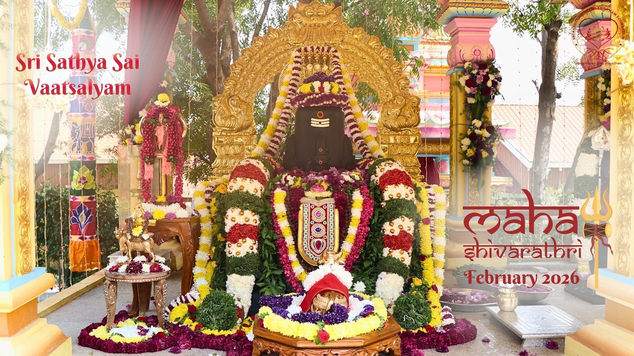 Maha Shivaratri 2026 - Vaatsalyam Day at Sri Sathya Sai Vaatsalyam | Highlights Video