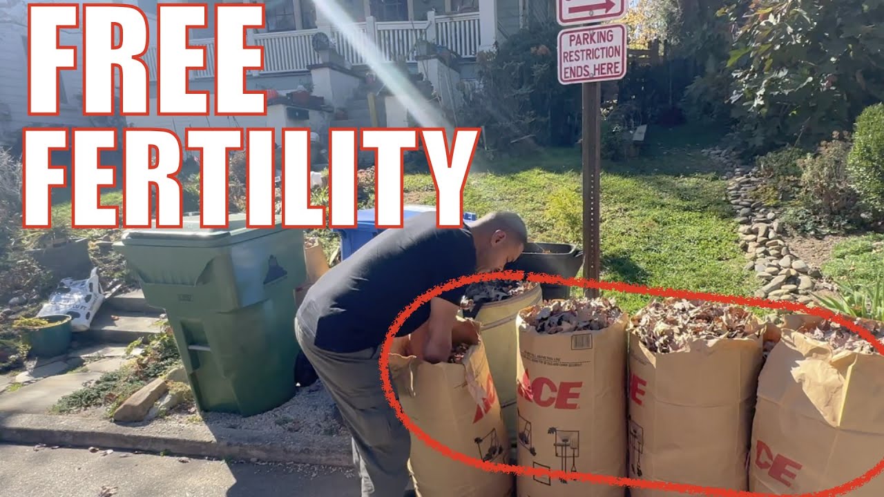 From Street to Farm: Harvesting Neighborhood Leaves🍃 for Compost