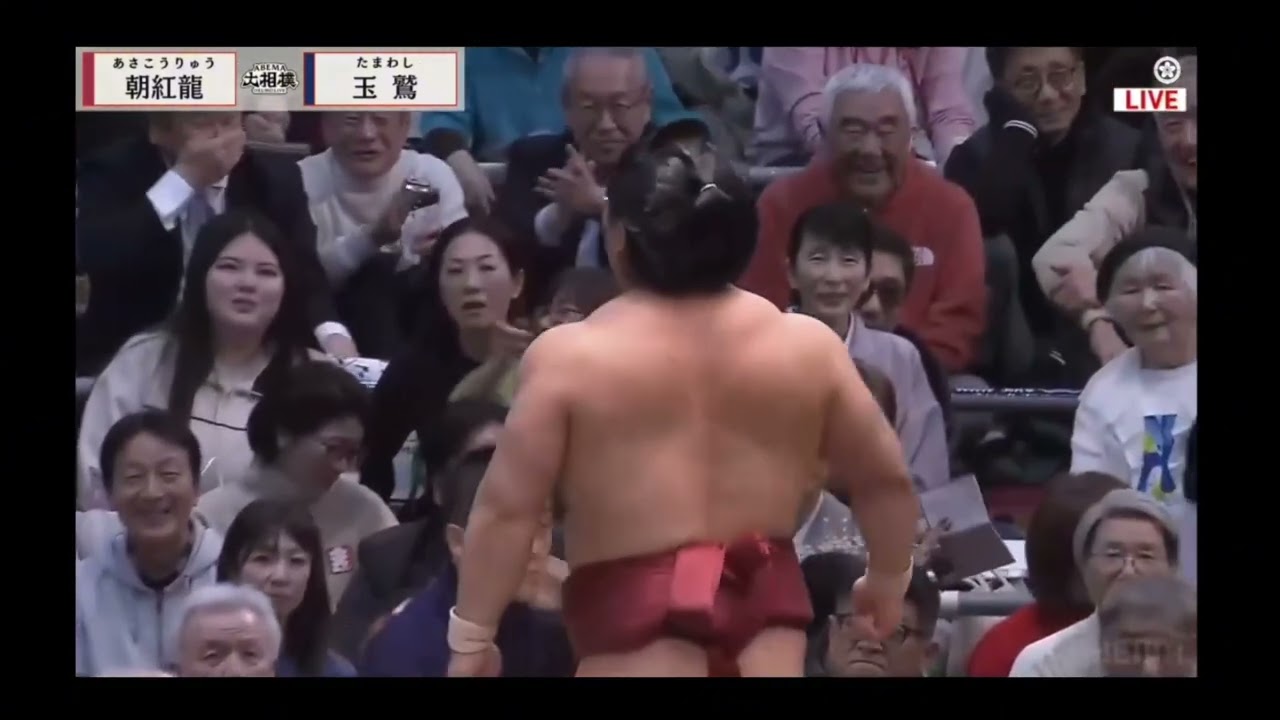 8 день Хару Басё 2026 Макуути Сумо на русском ( Haru Basho 2026 Makuuchi Division Nakabi Day 8 Sumo)