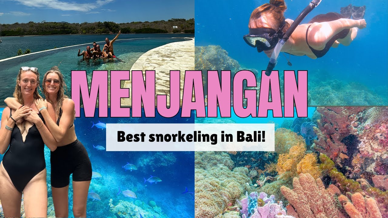 Menjangan Island Snorkeling Bali – Hidden Gem Better Than Nusa & Gili?