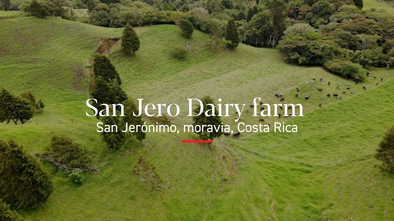 20-Hectare Income-Producing Dairy Farm in Costa Rica