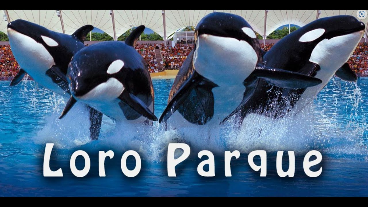 LORO PARK