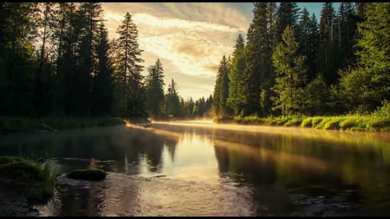 Peaceful Forest River 🌲 Flowing Water for Deep Relaxation, Sleep & Stress Relief
