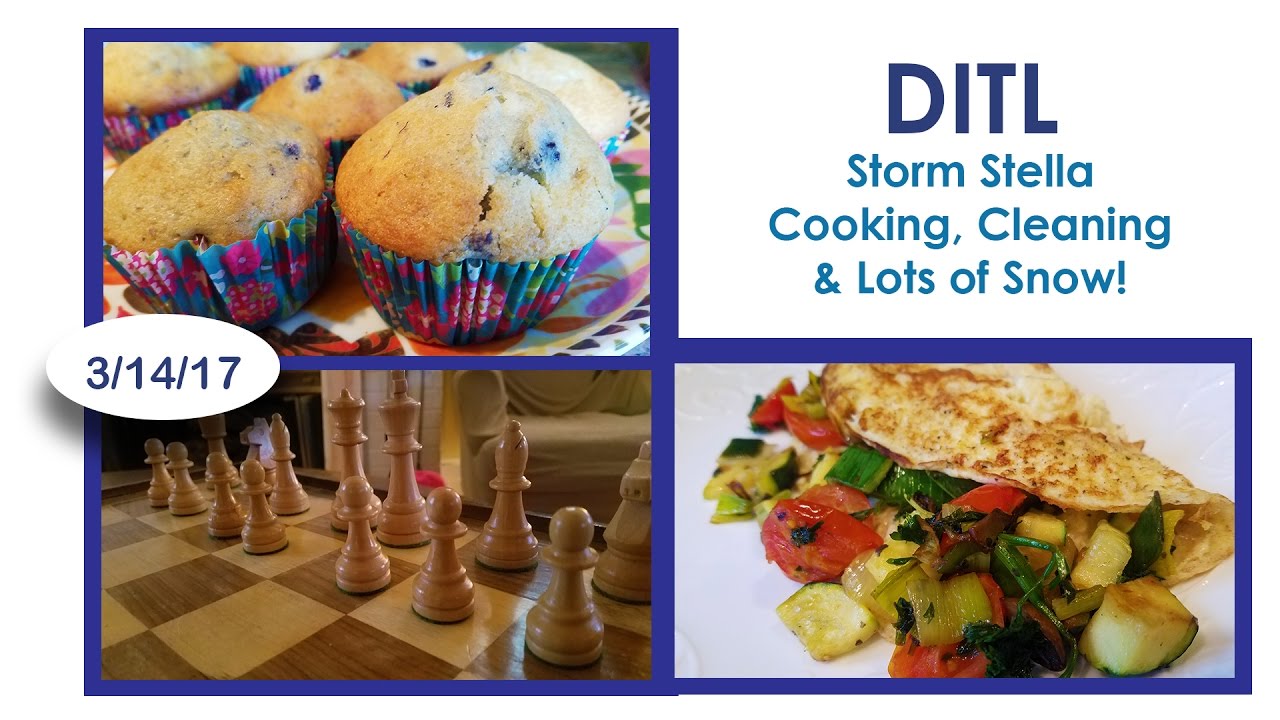 DITL - 3/14/17 || Storm Stella / Cleaning /  Cooking and a lot of snow! ||