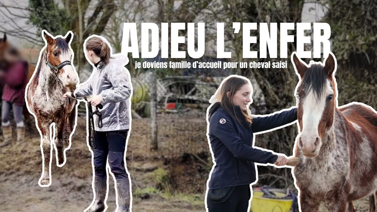 ADIEU L'ENFER | je deviens famille d’accueil pour un cheval saisi
