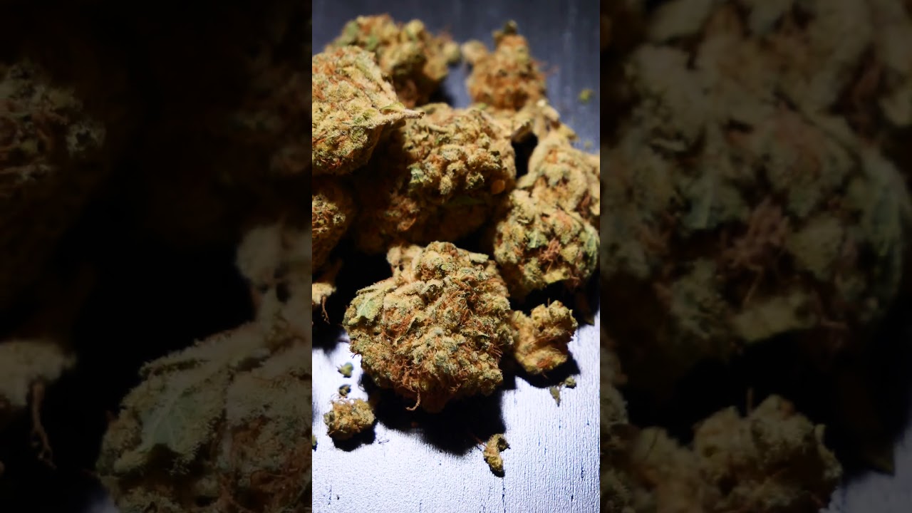 Platinum Garlic  THC 26% CBD 1% Indica Dominant #shorts