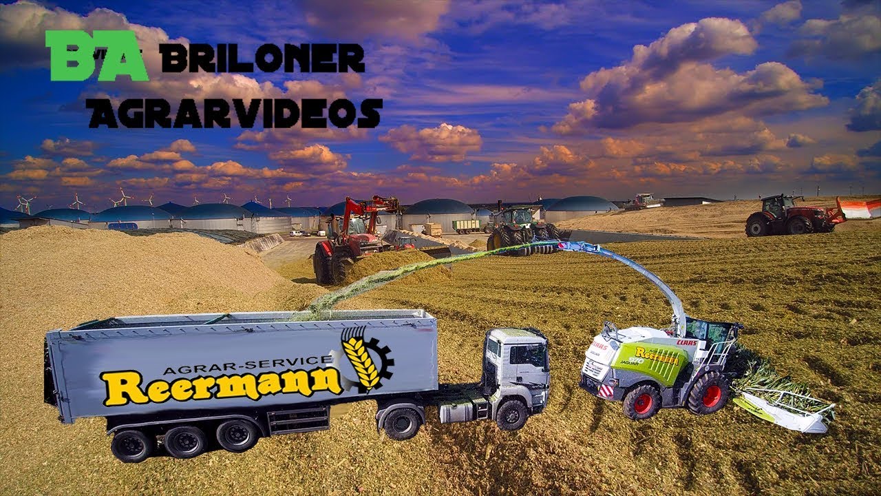 Maishäckseln 2017/Biogasanlage Sachsen Anhalt/Agrar-Service Reermann/Claas Jaguar 970