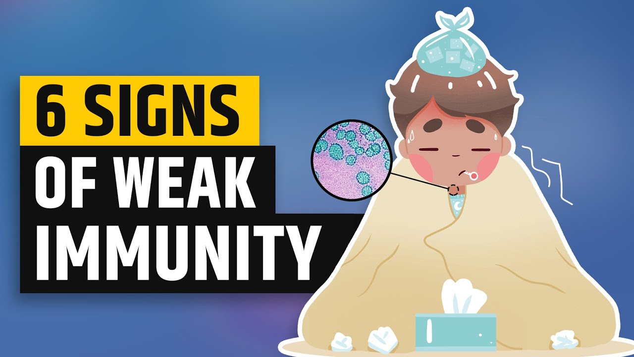 6 Signs of Weak Immune System | Weak Immune System Symptoms