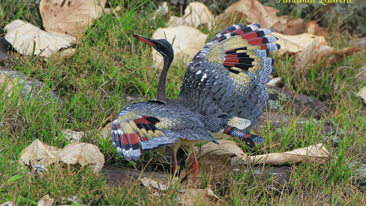 Experience Epic Nature Tours