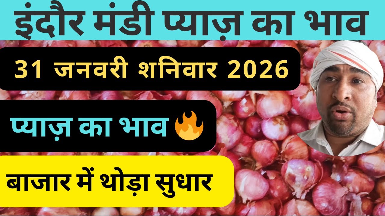 indore mandi pyaj ka bhav​ प्याज का भाव #lahsunaajkabhad 