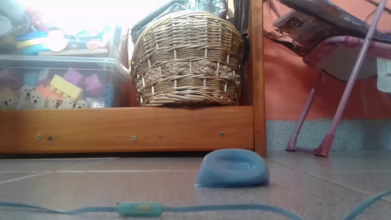 ASMR PISANDO COSAS (USAR AURICULARES) |MARTINET PUKI