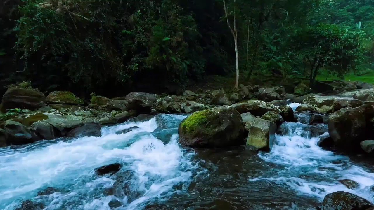 Soft River Sounds for Deep Sleep and Insomnia Healing