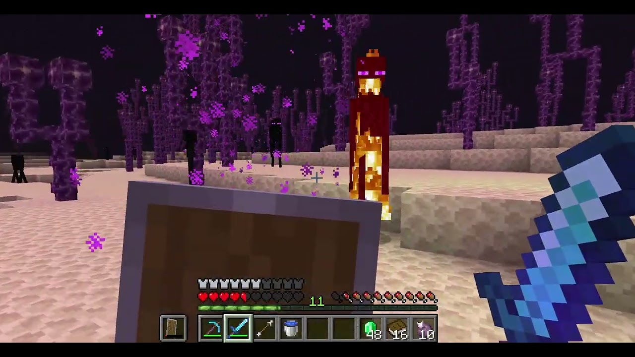 I got elytra in my survival Minecraft