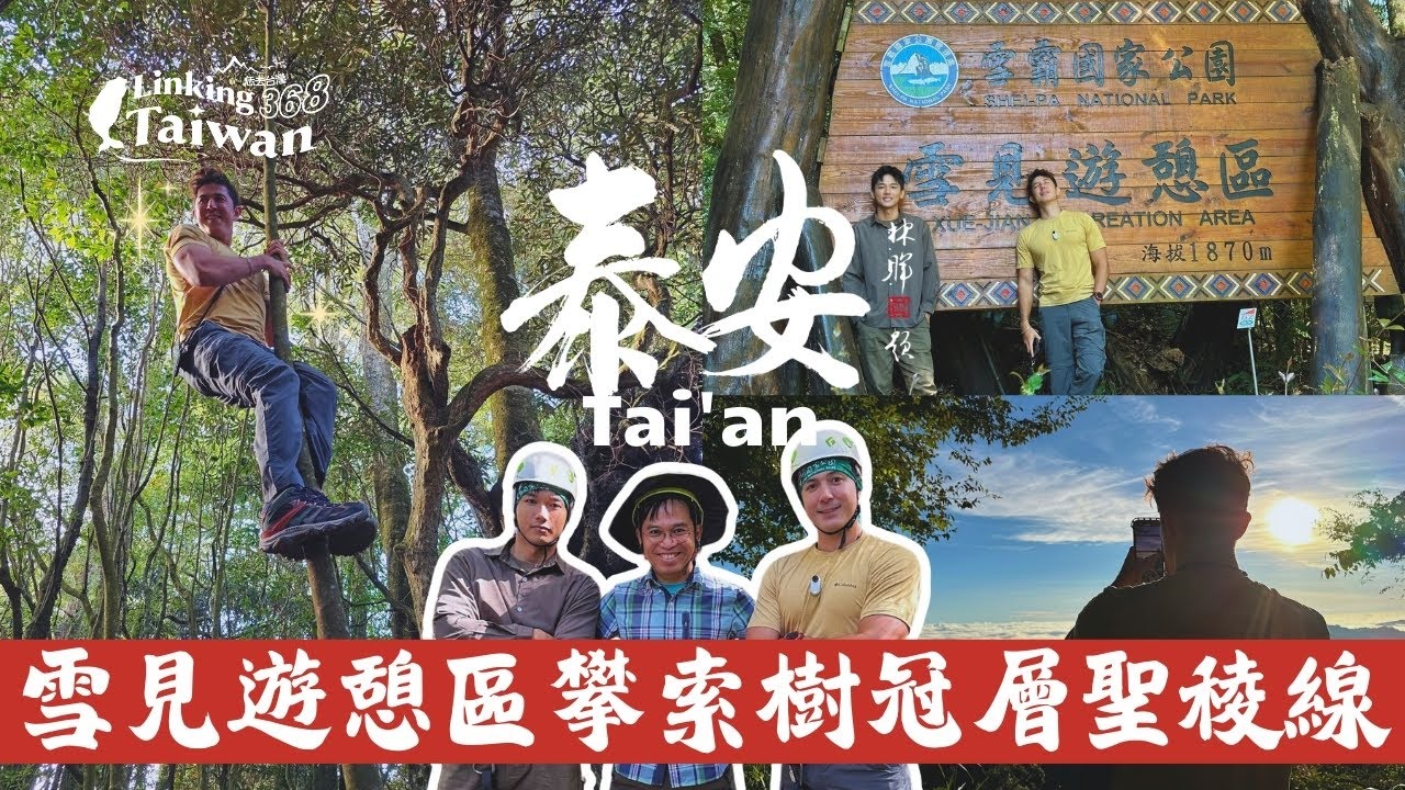 【苗栗泰安】EP18 part.2/4｜探索雪見遊憩區森林生態瑰寶！攀索樹冠層聖稜線視野✨🤩👍｜Linking368Taiwan