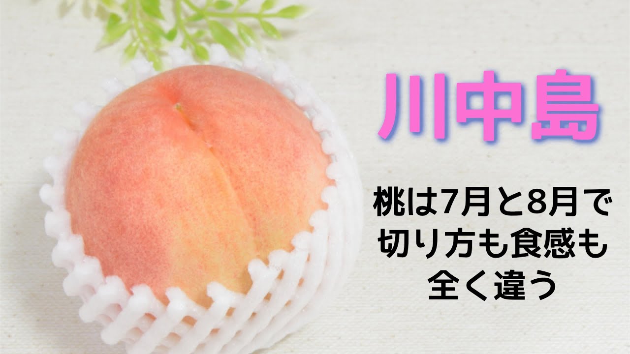 桃は前半と後半で切り方も食べ方も変わる！後半の代表【川中島】