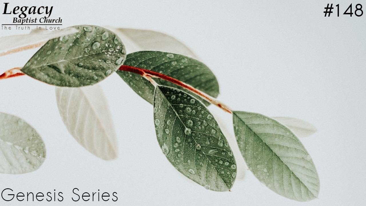 Genesis 46 - Human Nature and God's Design