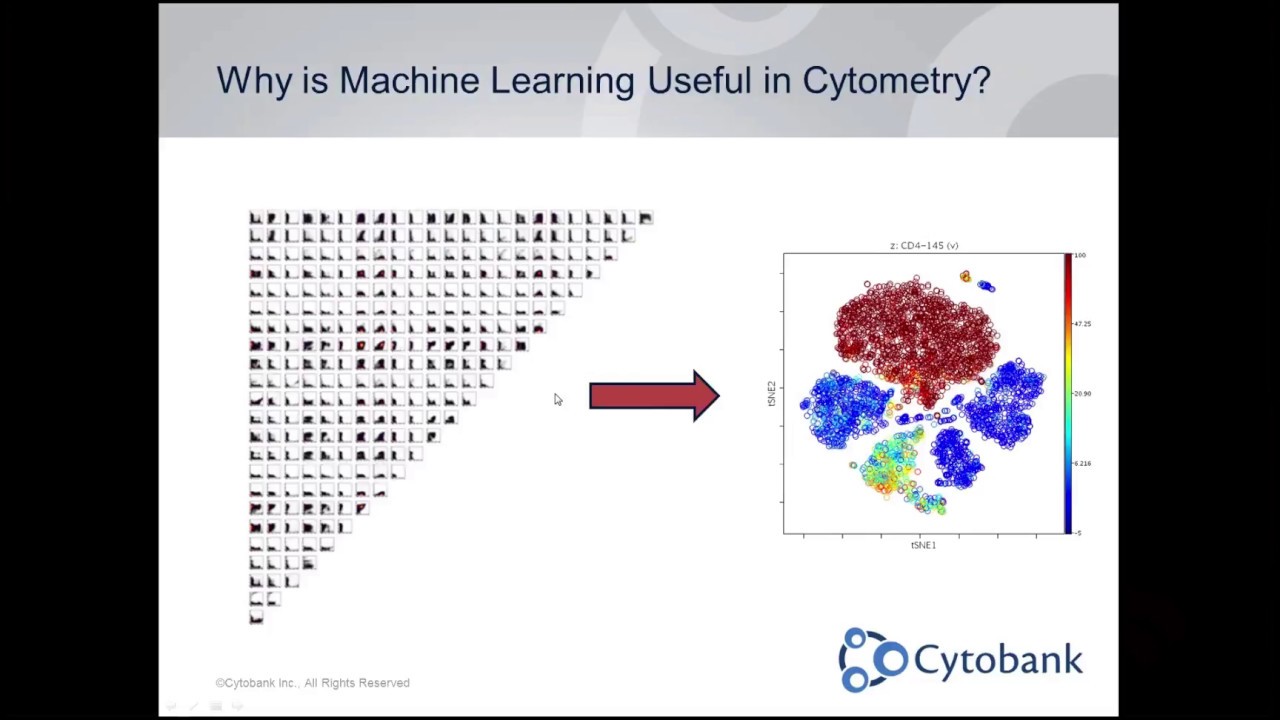 Webinar: Advanced viSNE (t-SNE) Demonstration