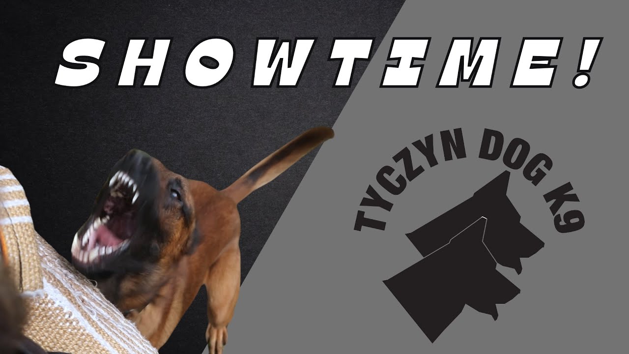 NePoPo® Tyczyn Dog K9 - Showtime!