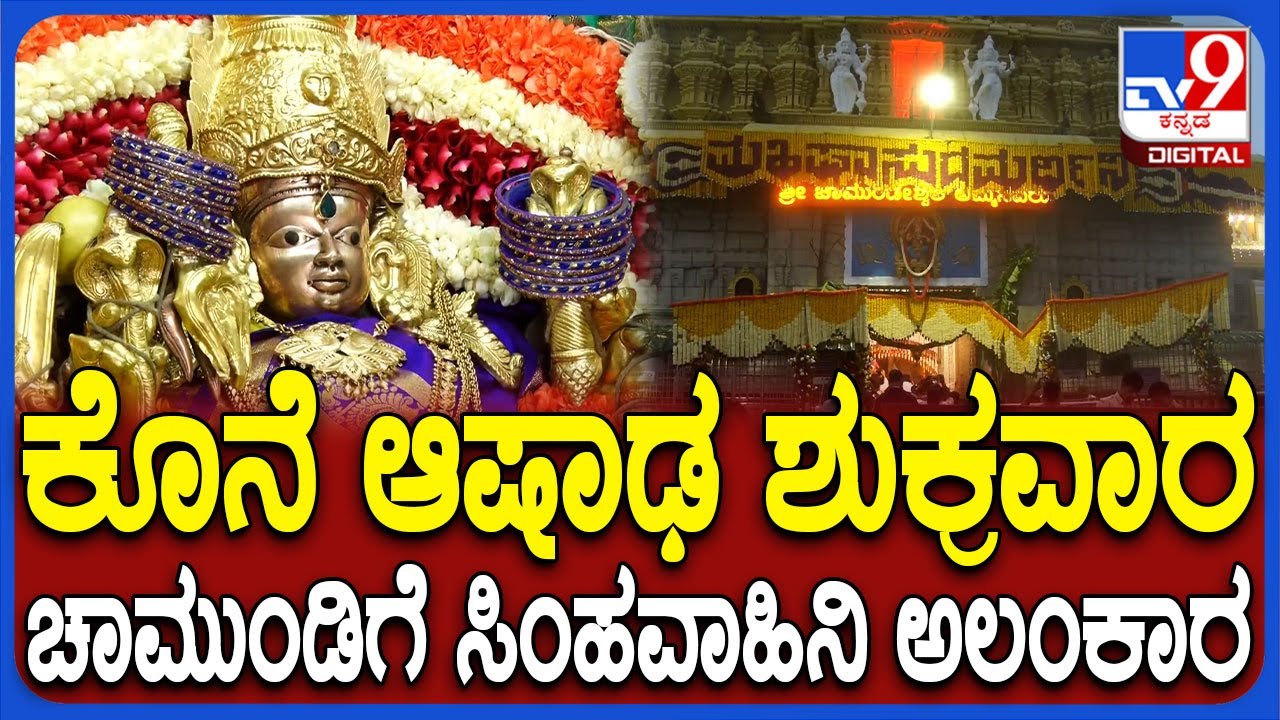Chamundeshwari Temple: ಆಷಾಡ ಮಾಸದ 4ನೇ ಶುಕ್ರವಾರ.. ಸಿಂಹವಾಹಿನಿ ಅಲಂಕಾರದಲ್ಲಿ ಕಂಗೊಳಿಸ್ತಿರೋ ಚಾಮುಂಡಿ | #TV9D