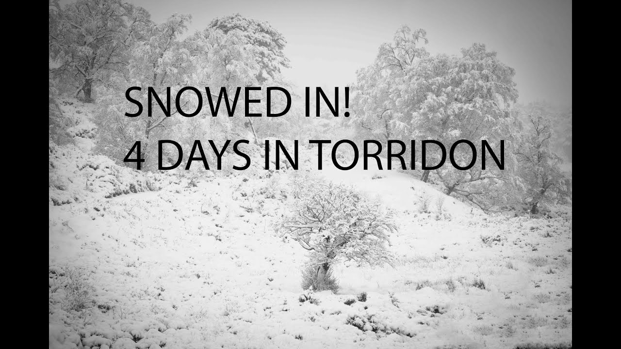 SNOWED IN! 4 days in heaven.