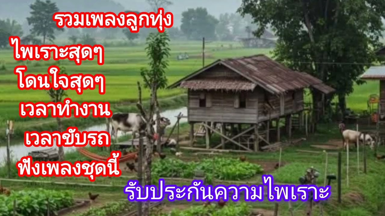 เพลงใหม่เพราะๆ รวมไว้ในชุดเดียว